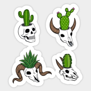 Cactus skulls Sticker